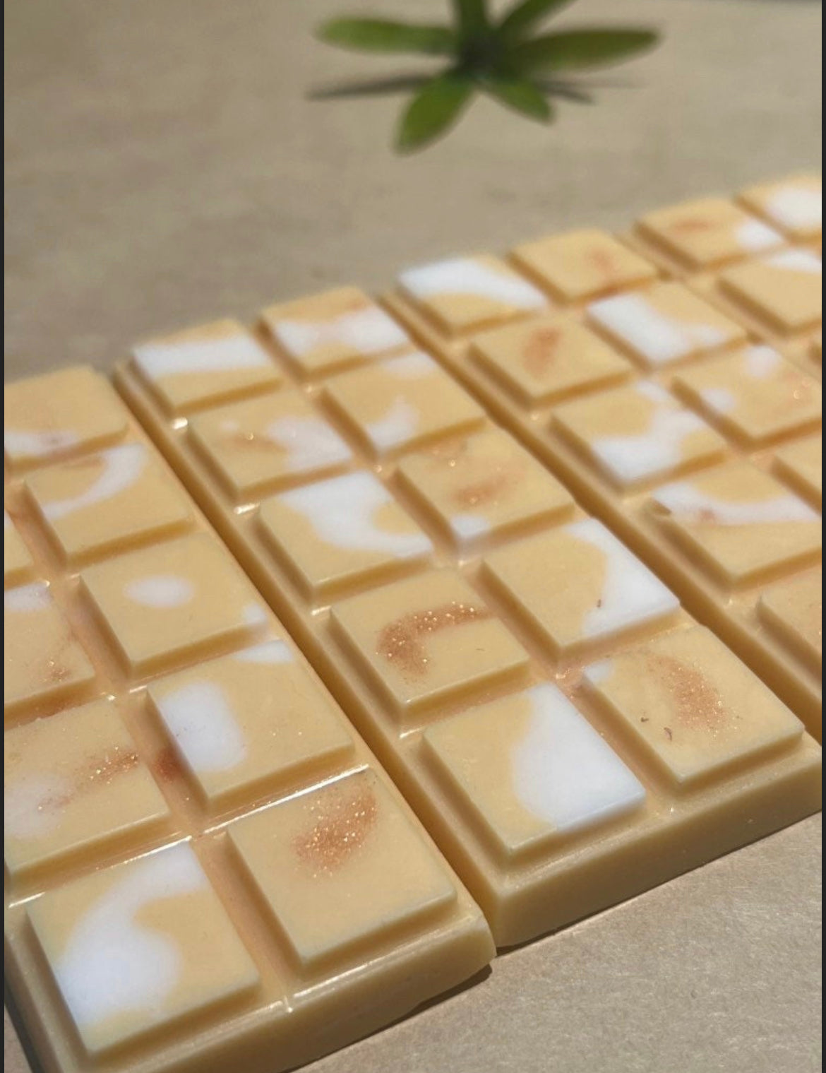 GEORGIA PEACH Wax Snap Bars