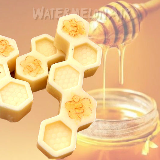 HONEYBEE Wax Honeycomb Bar Melts