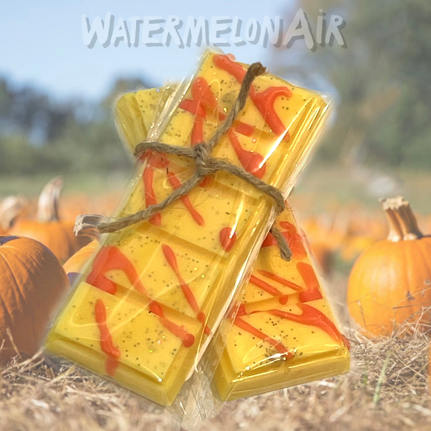 PUMPKIN SPICE Snap Bar Wax Melts | Holiday scent | Pumpkin Patch Scent