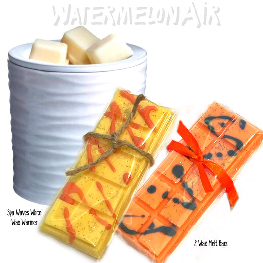 ANY OCCASION GIFT SET #2: Electric Wax Melter + 2 Snap Bar Wax Melts (your choice)