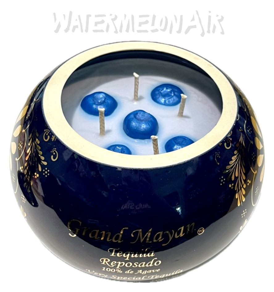 Tequila Reposado Bottle Candle | summer candles | non toxic candles | pet safe | blueberry candle