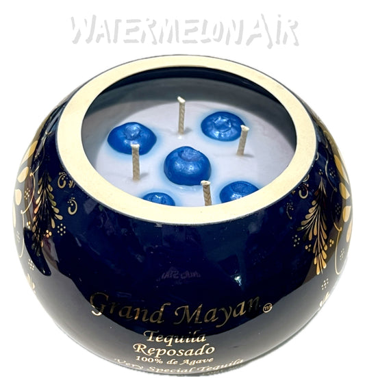 Tequila Reposado Bottle Candle | summer candles | non toxic candles | pet safe | blueberry candle