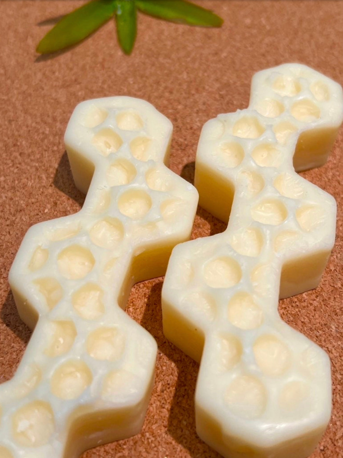 HONEYBEE Wax Honeycomb Bar Melts